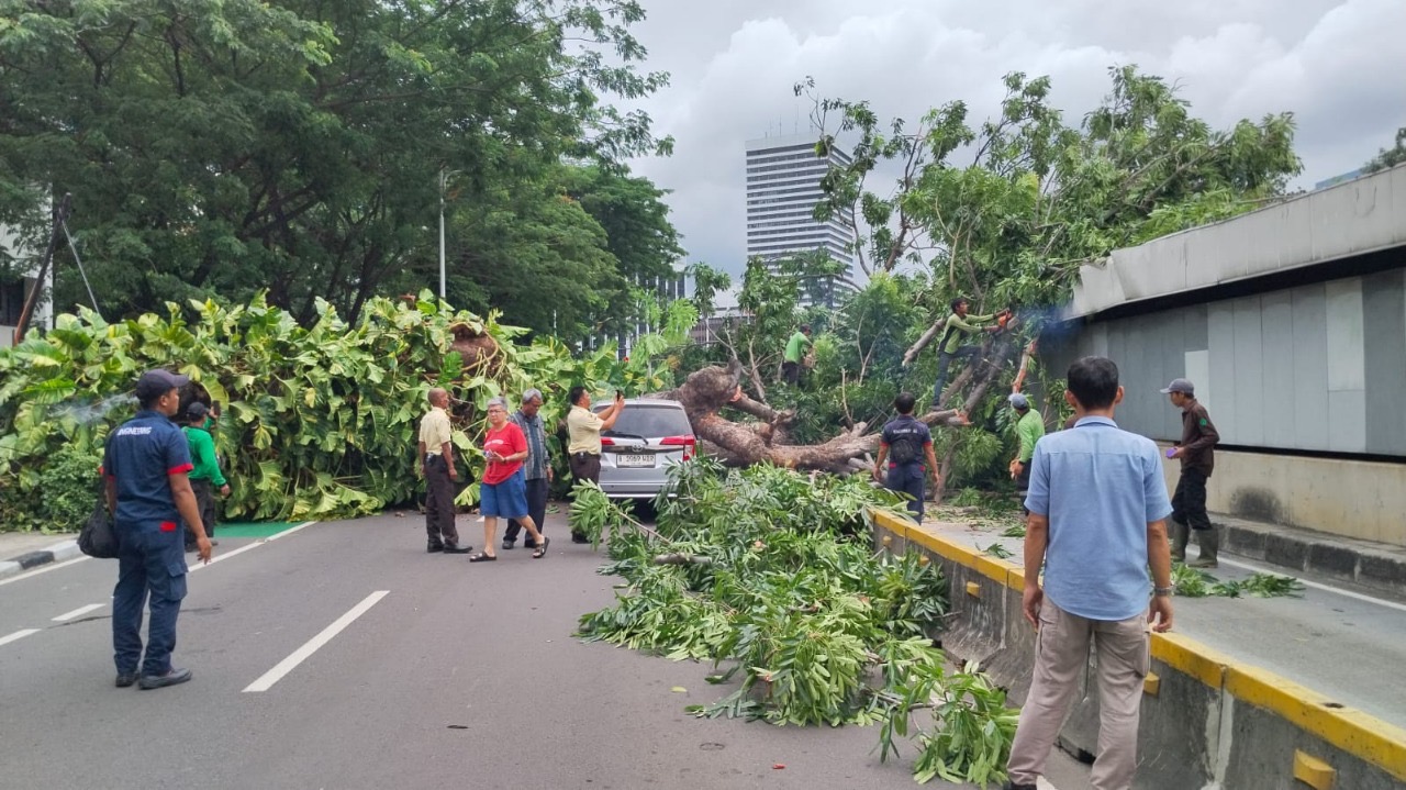 Ratusan Penumpang MRT Sempat Terjebak Dalam Rangkaian Kereta Saat Pohon Tumbang
