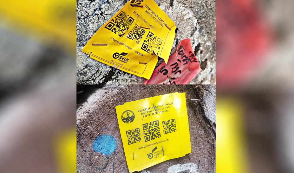 Terungkap Isi Barcode Kayu Gelondongan yang Terdampar di Pesisir Barat Pantai Lampung, Ada Label Kementerian Kehutanan RI dan PT Minas Pagai Lumber.