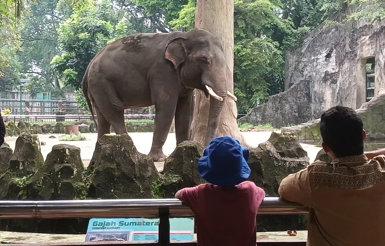 Ragunan Tetap Jadi Primadona Wisata Murah Saat Libur Natal, Warga Bogor Rela Datang Dari Pagi