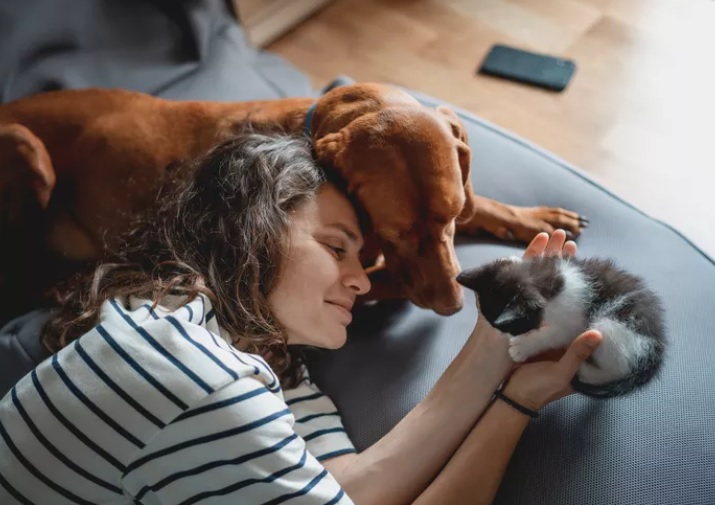 Kegemaran Memelihara Anjing atau Kucing Bisa Mengungkap Sisi Psikologis Pemeliharanya