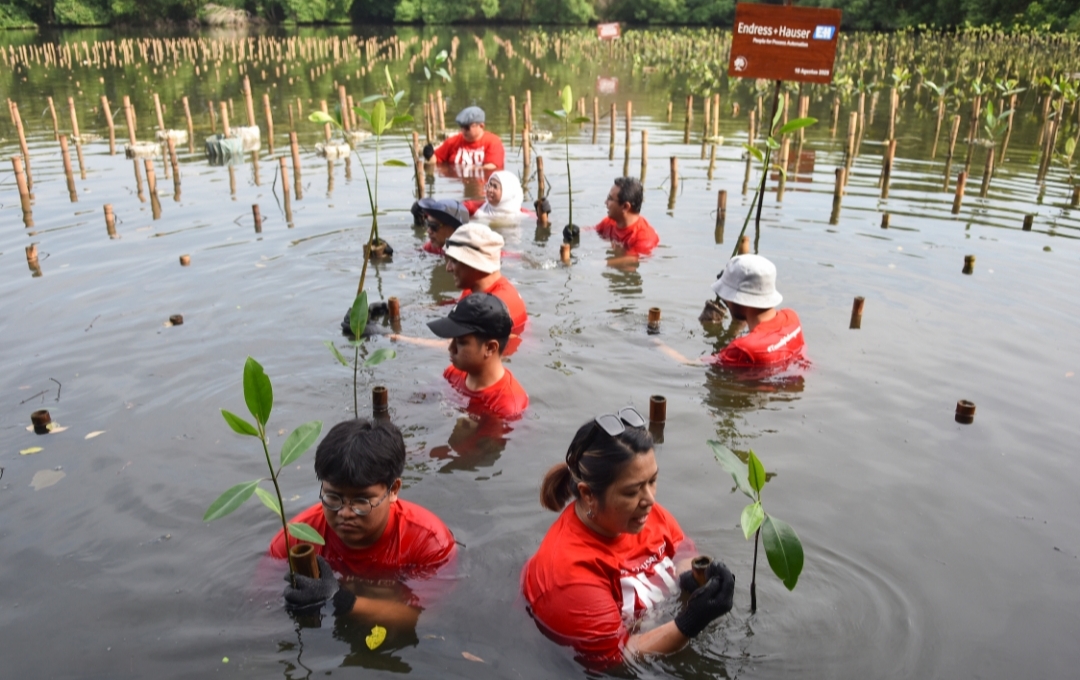 Rayakan HUT ke-80 RI dengan Tanam Mangrove dan Bikin Jakarta Lebih Hijau