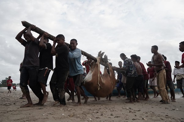 Berbagi Bahagia di Pelosok Negeri, Dompet Dhuafa Distribusikan 36.709 Hewan Kurban