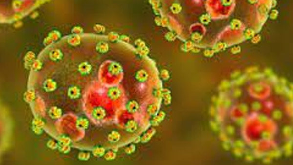 Virus Lassa Lebih Ditakuti Warga Nigeria Dibandingkan Covid-19, Lebih Menular dan Mematikan
