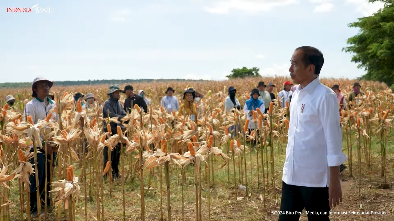  Jokowi Nyatakan Akan Dorong Hilirisasi Produk Pertanian: Industri Harus Dekat Dengan Lahan Pertanian