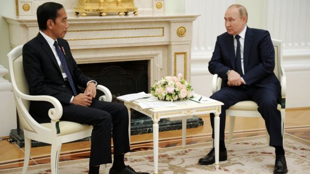 Rusia Konfirmasi Putin Tak Hadir KTT G20 Bali dan APEC Thailand
