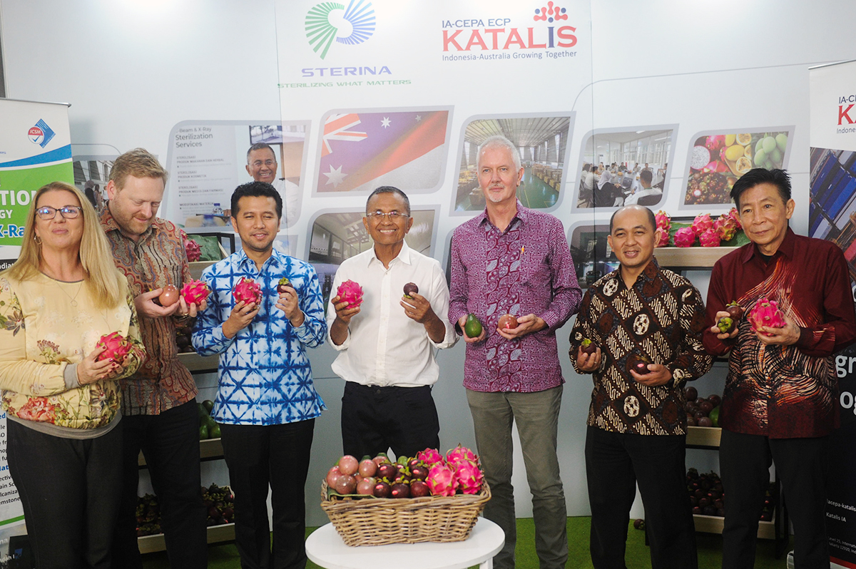 Sterina Gandeng Katalis, Buah Tropis Petani Indonesia Bisa Masuk Pasar Australia