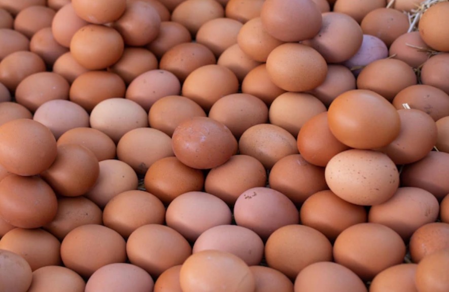Ini Penyebab Harga Telur Ayam Terus Naik Tak Terkendali