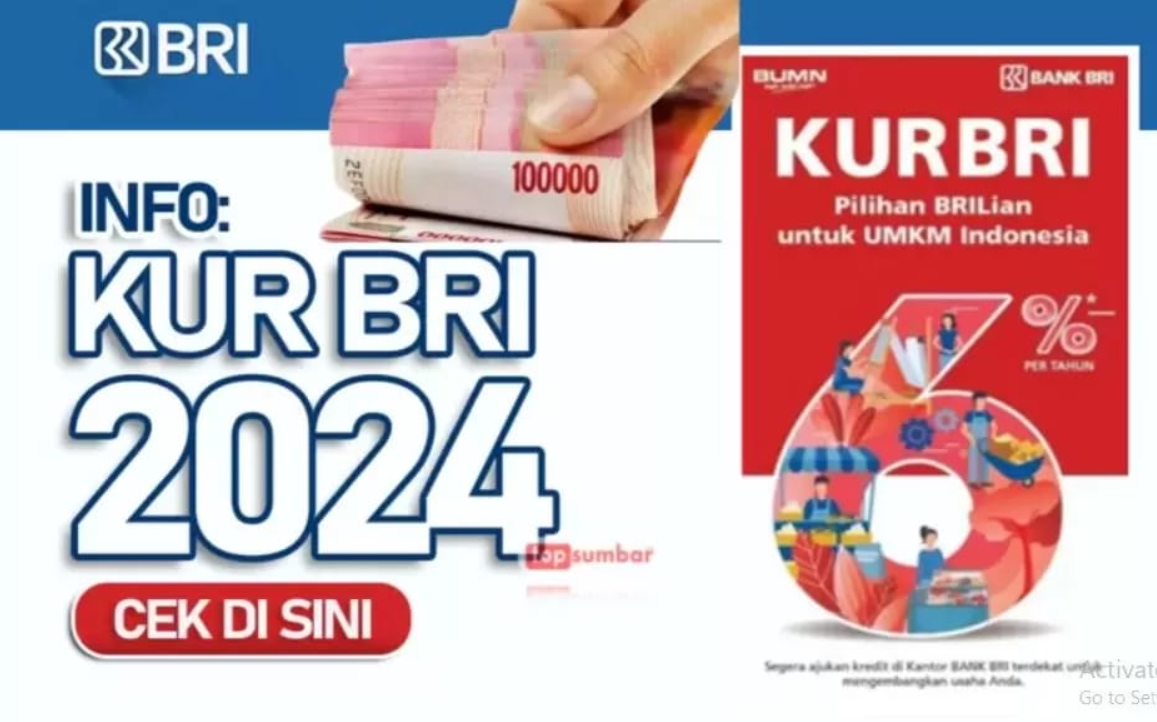 Ini Manfaat KUR BRI bagi UMKM, Jadi Solusi Cerdas untuk Modal Usaha dan Pengembangan Bisnis