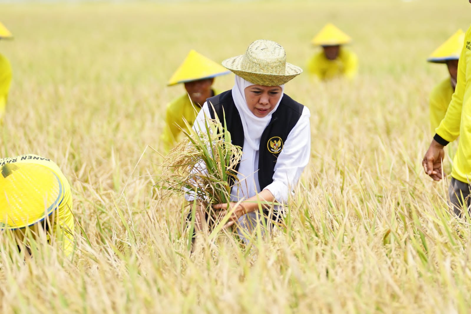 Khofifah Dukung Swasembada Pangan Nasional, Siap Wujudkan Janji Kampanye Tingkatkan Produksi Beras di Jatim