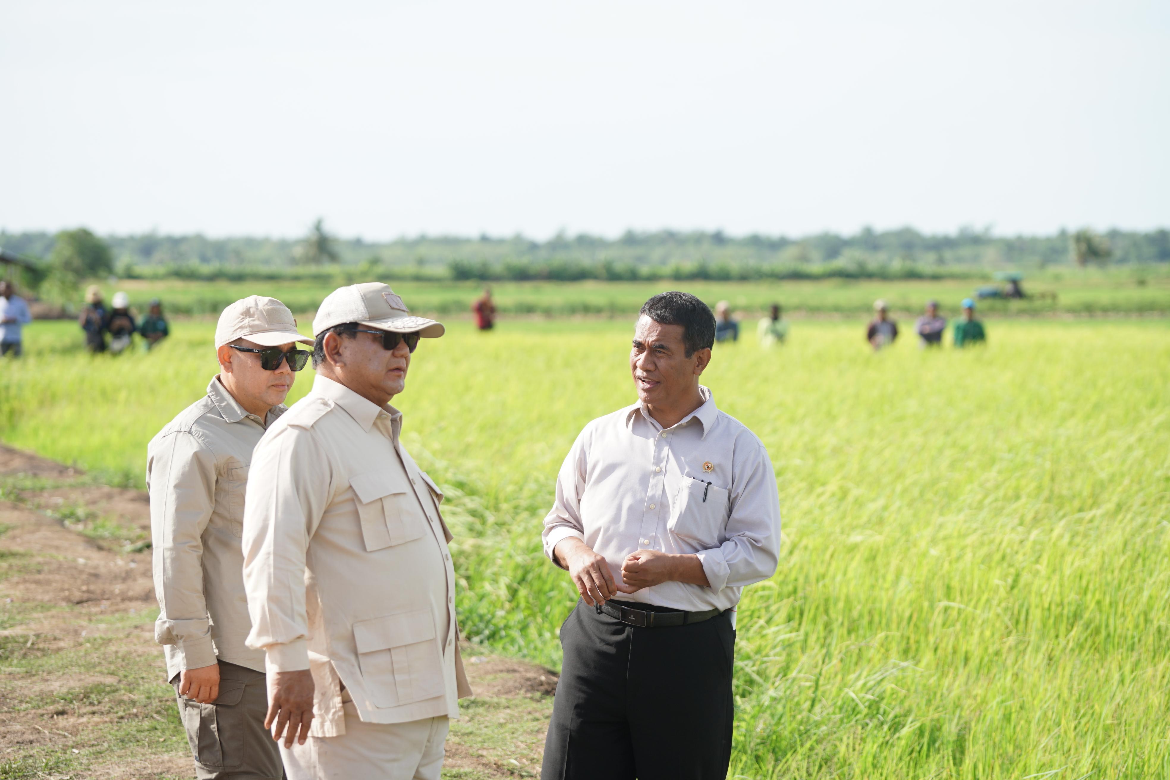 Presiden Prabowo Dapat Apresiasi Masyarakat Papua, Program Cetak Sawah Sukses!