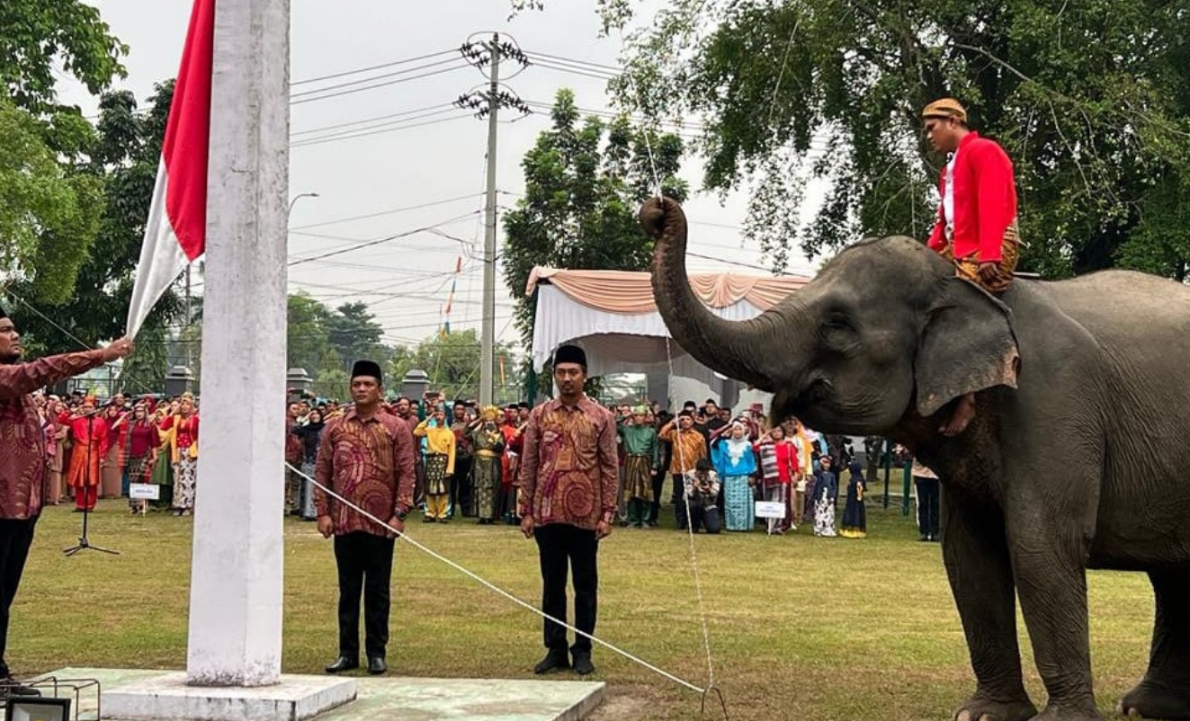 Unik, 3 Ekor Gajah Sumatera Jadi Petugas Pengibaran Bendera Merah Putih