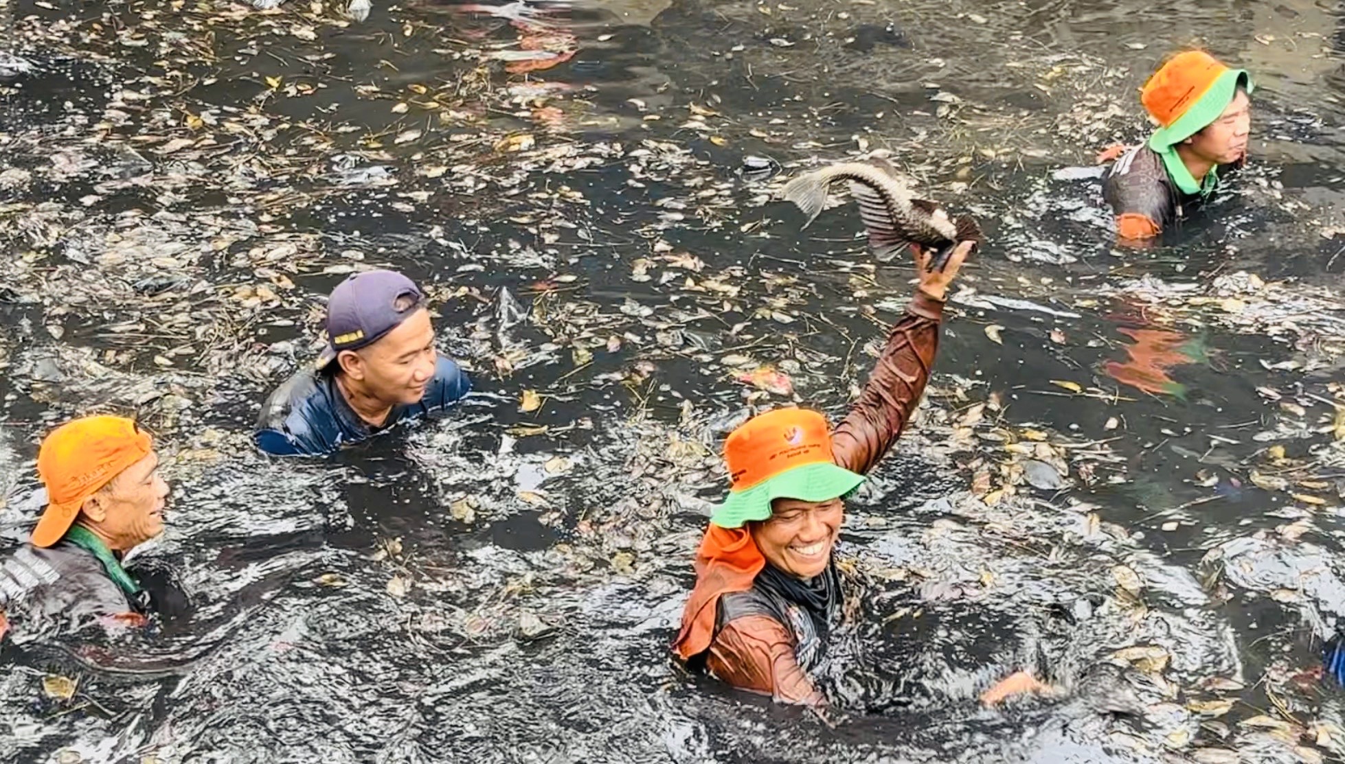 Jakarta Darurat Ikan Sapu-sapu, Pramono Perintahkan Tim Pemburu Tangkap Berkala