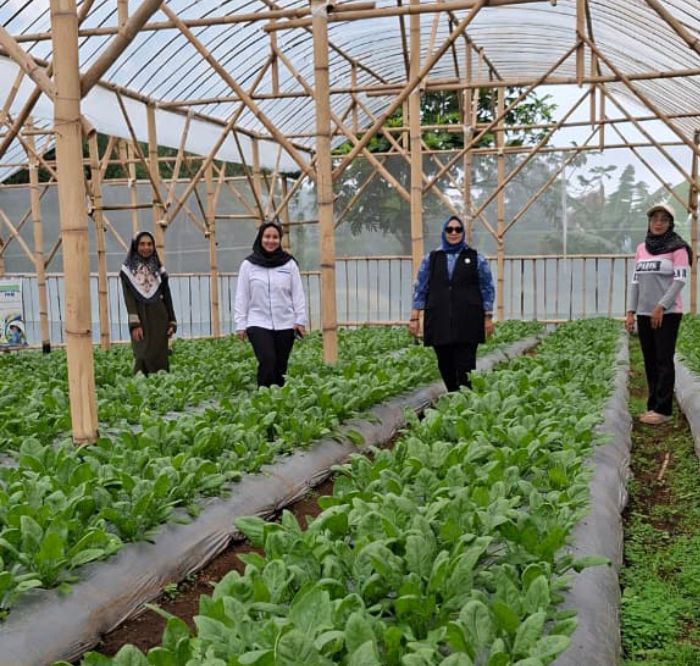 Dari Limbah Jadi Berkah, Perempuan Nasabah PNM Mekaar Kembangkan Usaha Lewat Sinergi Ultra Mikro BRI