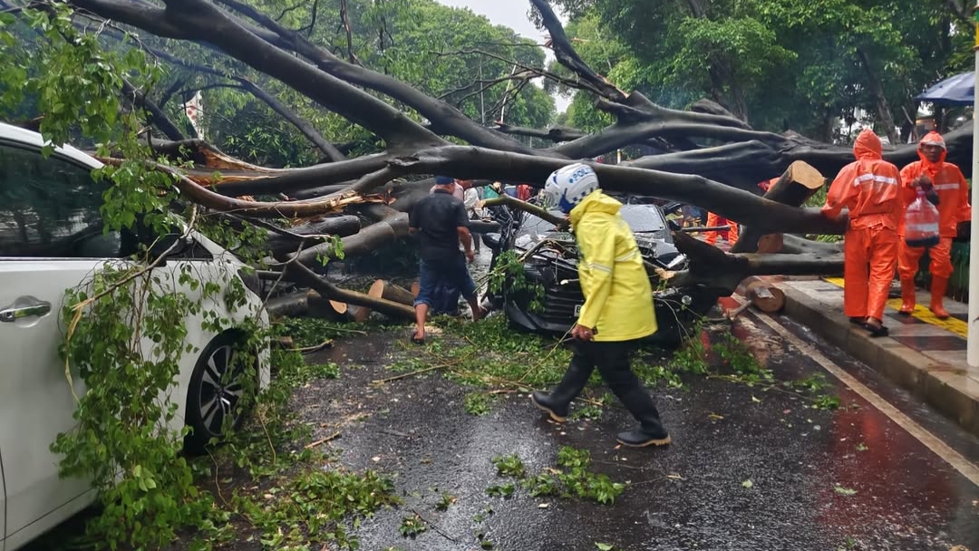 Pohon Tumbang Timpa 5 Mobil di Kebayoran Baru, 1 Orang Tewas!