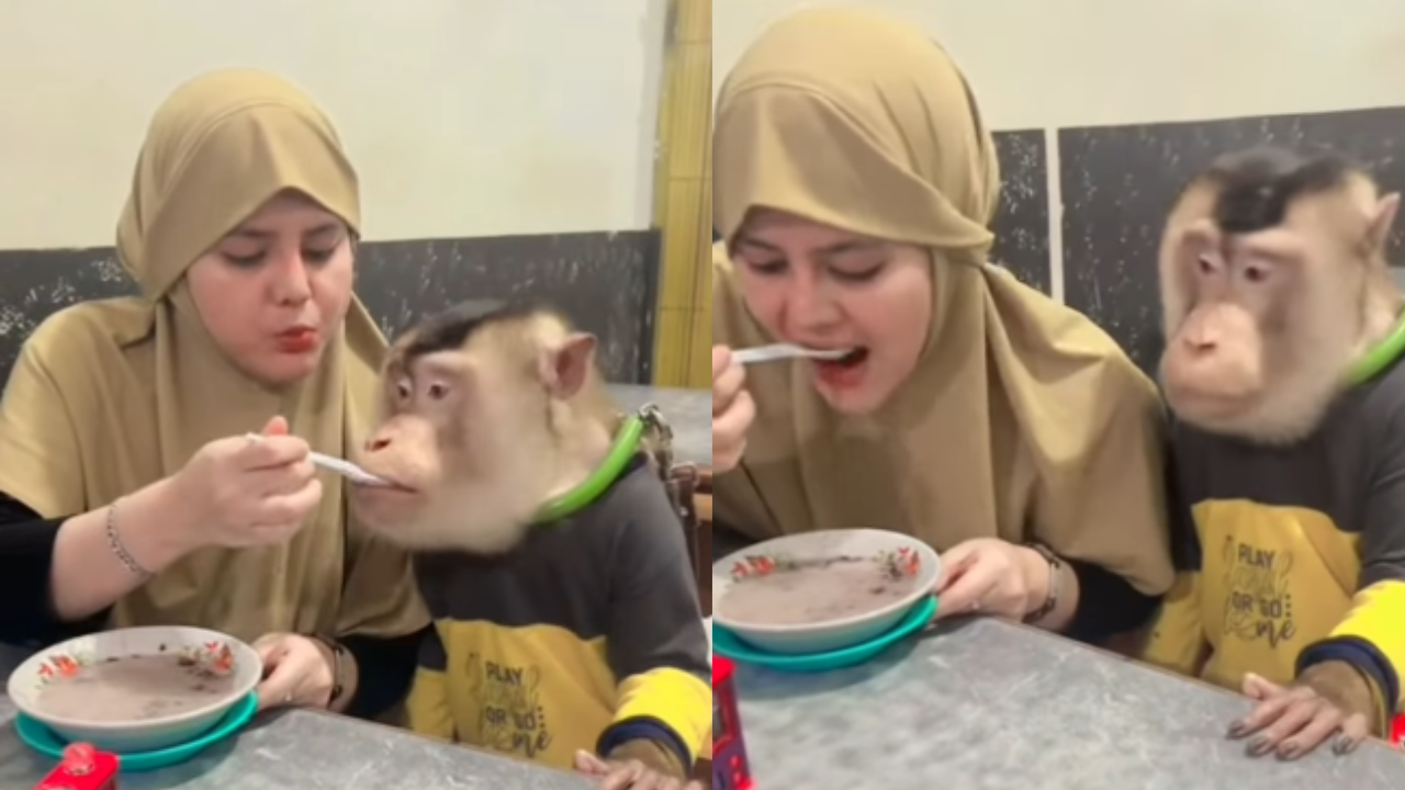 Viral Wanita Makan Sama Beruk Pakai Satu Sendok, Netizen: Takut Ada Virus Rabies!