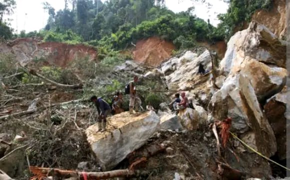 BNPB Ungkap Penyebab Tambang di Solok Longsor Tewaskan 15 Orang: Struktur Tanah Labil