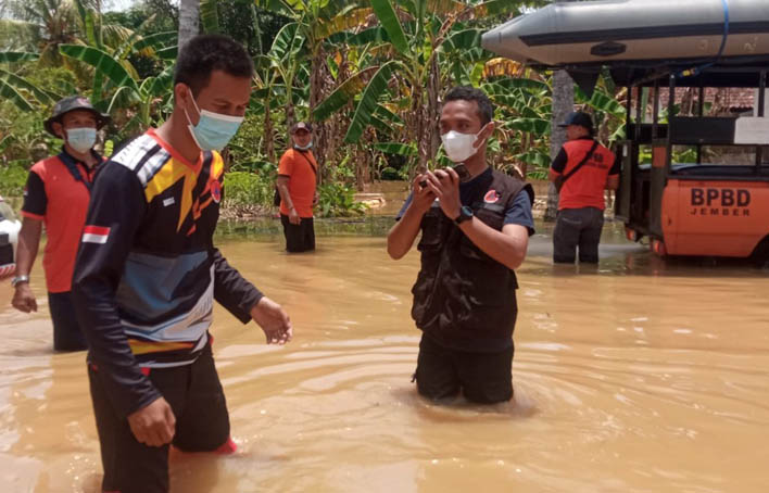 953 Unit Rumah Warga Kabupaten Jember Diterjang Banjir, 150 Hektar Lahan Pertanian Rusak  