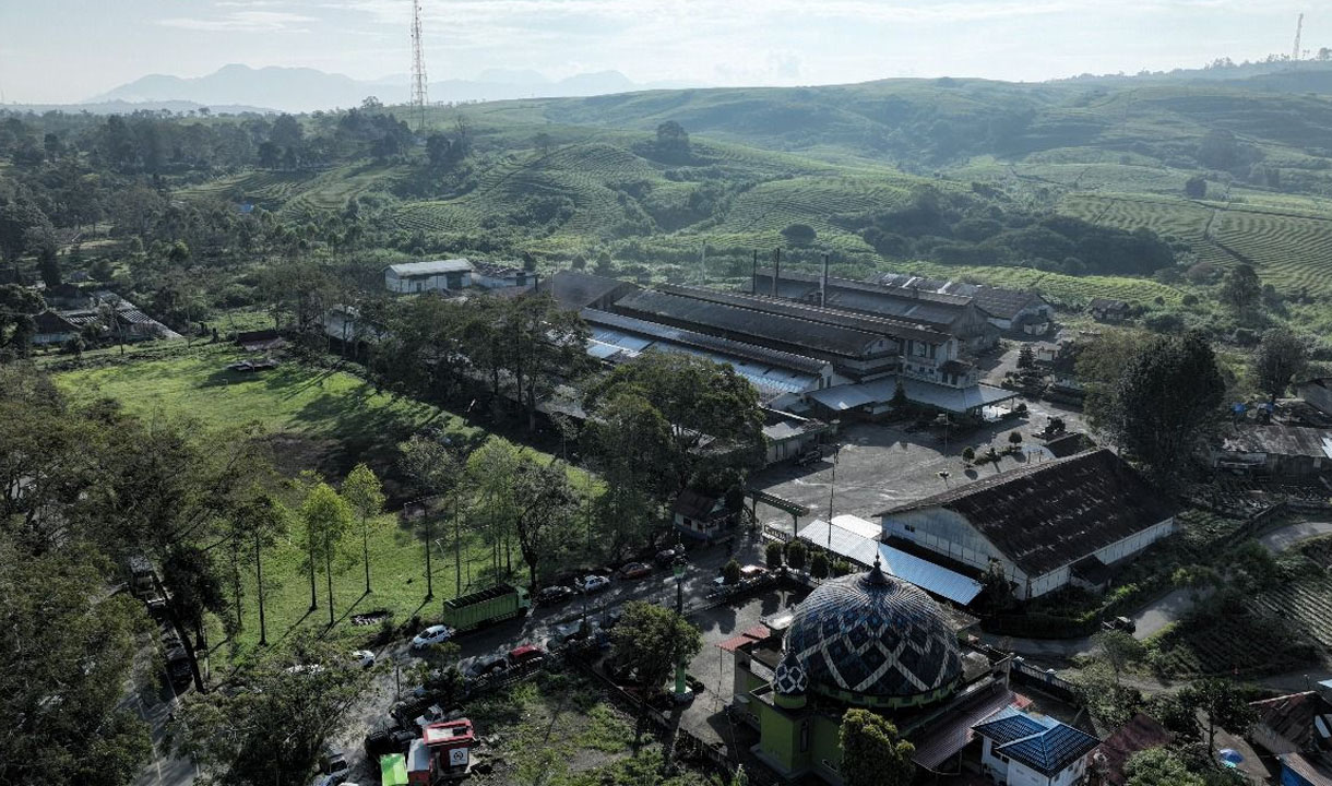 Menyusuri Akar Budaya PalmCo: Kisah dari Gedung Tua, Kebun VOC, dan Teh Kayu Aro