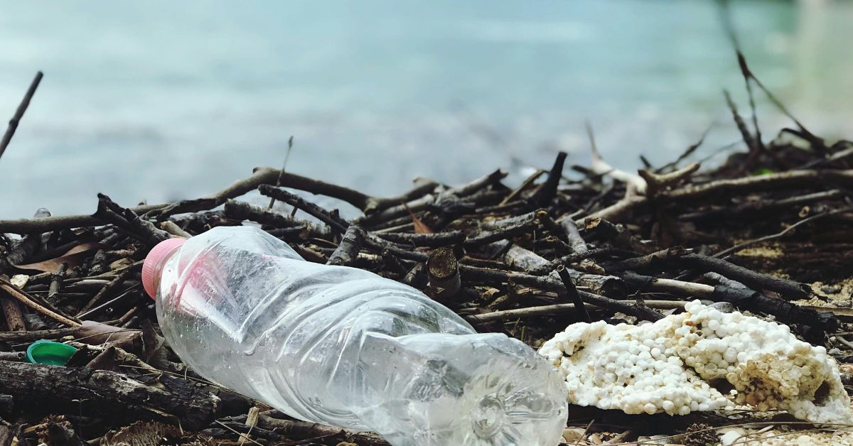 21 Februari Ada Hari Peduli Sampah Nasional, Kenali Bahaya Limbah Plastik Terhadap Lingkungan