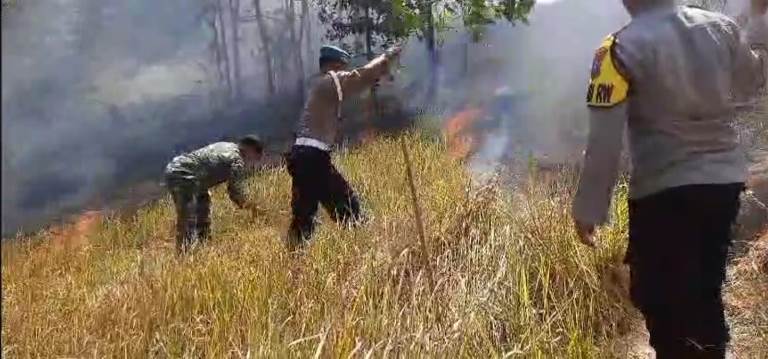 Polres Lumajang Padamkan Kebakaran Hutan Gunung Pucang Ranggah