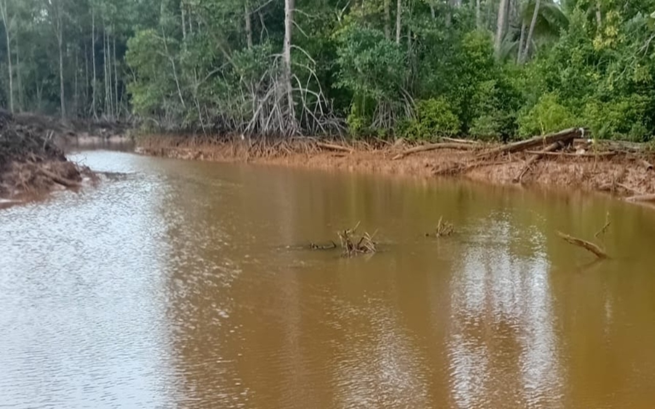 Limbah Diduga Cemari Teluk Buli, Latamla Soroti Pengelolaan Lingkungan PT FHT