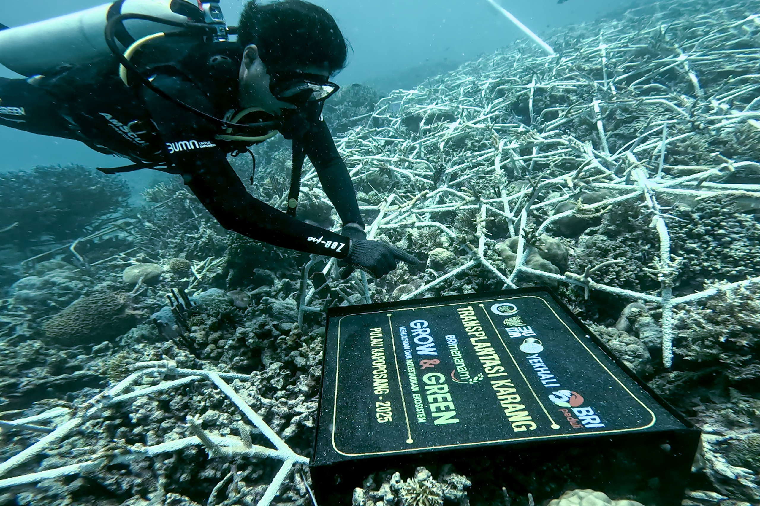 BRI Menanam – Grow and Green: Solusi Inklusif untuk Pemulihan Ekosistem Darat dan Laut