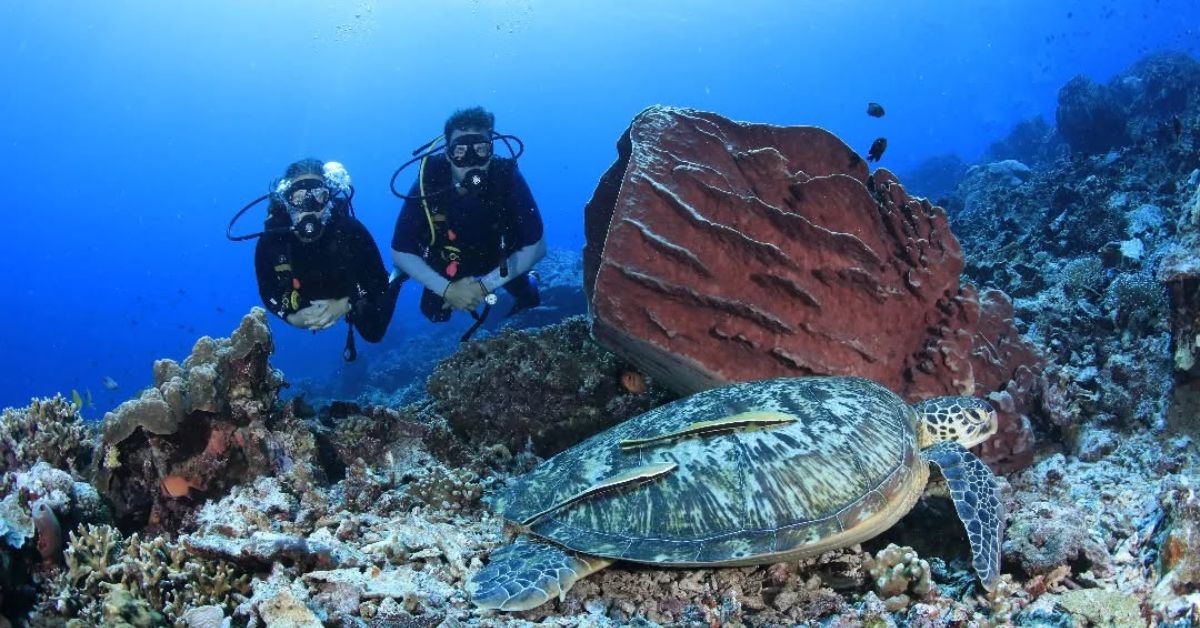Hari Maritim Nasional 2025: Tanggal 21 Agustus atau 23 September? Ini Penjelasan Lengkapnya