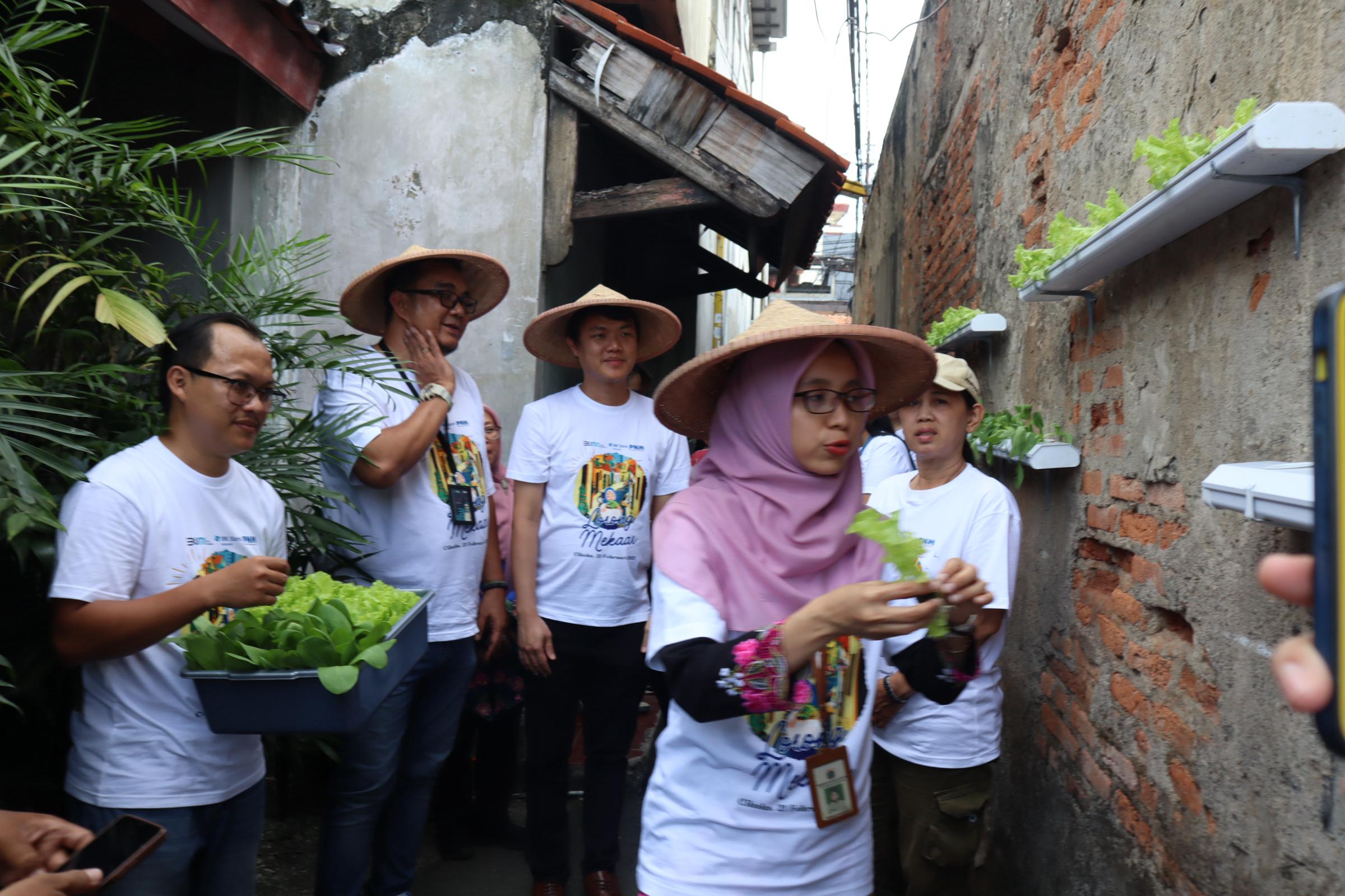 PNM Dampingi Urban Farming di Lorong-lorong Jakarta