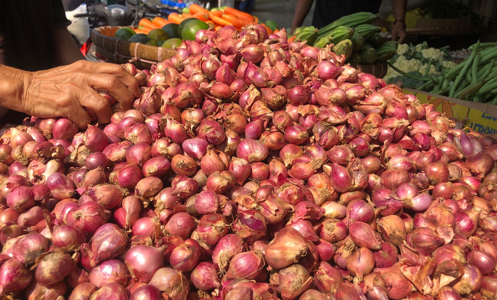 Anjlok! Harga Cabai dan Bawang Merah Terjun Bebas Hampir 50%