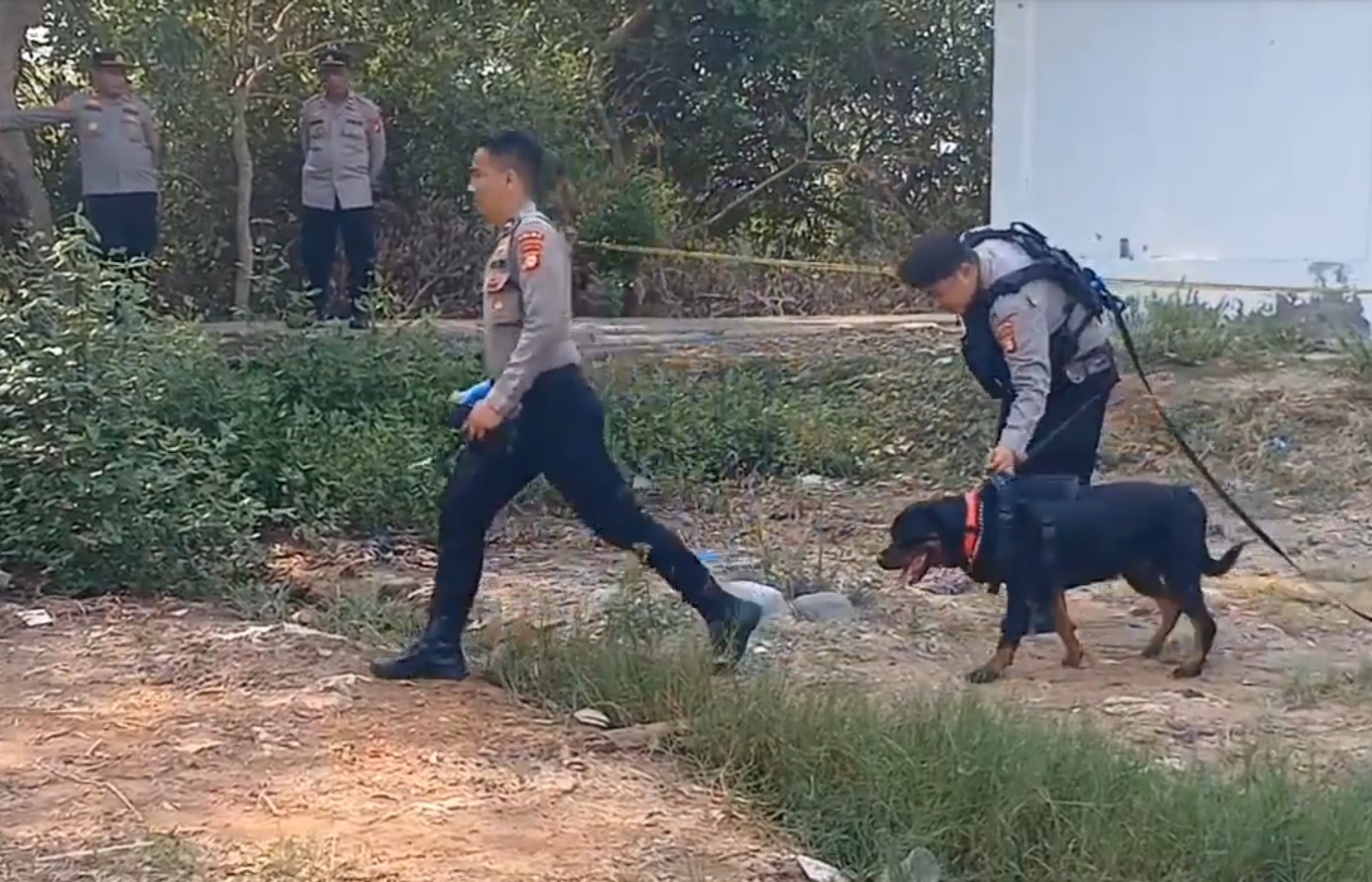 Anjing Pelacak K-9 Diturunkan, Cari Kepala Mayat Wanita dalam Karung di Muara Baru