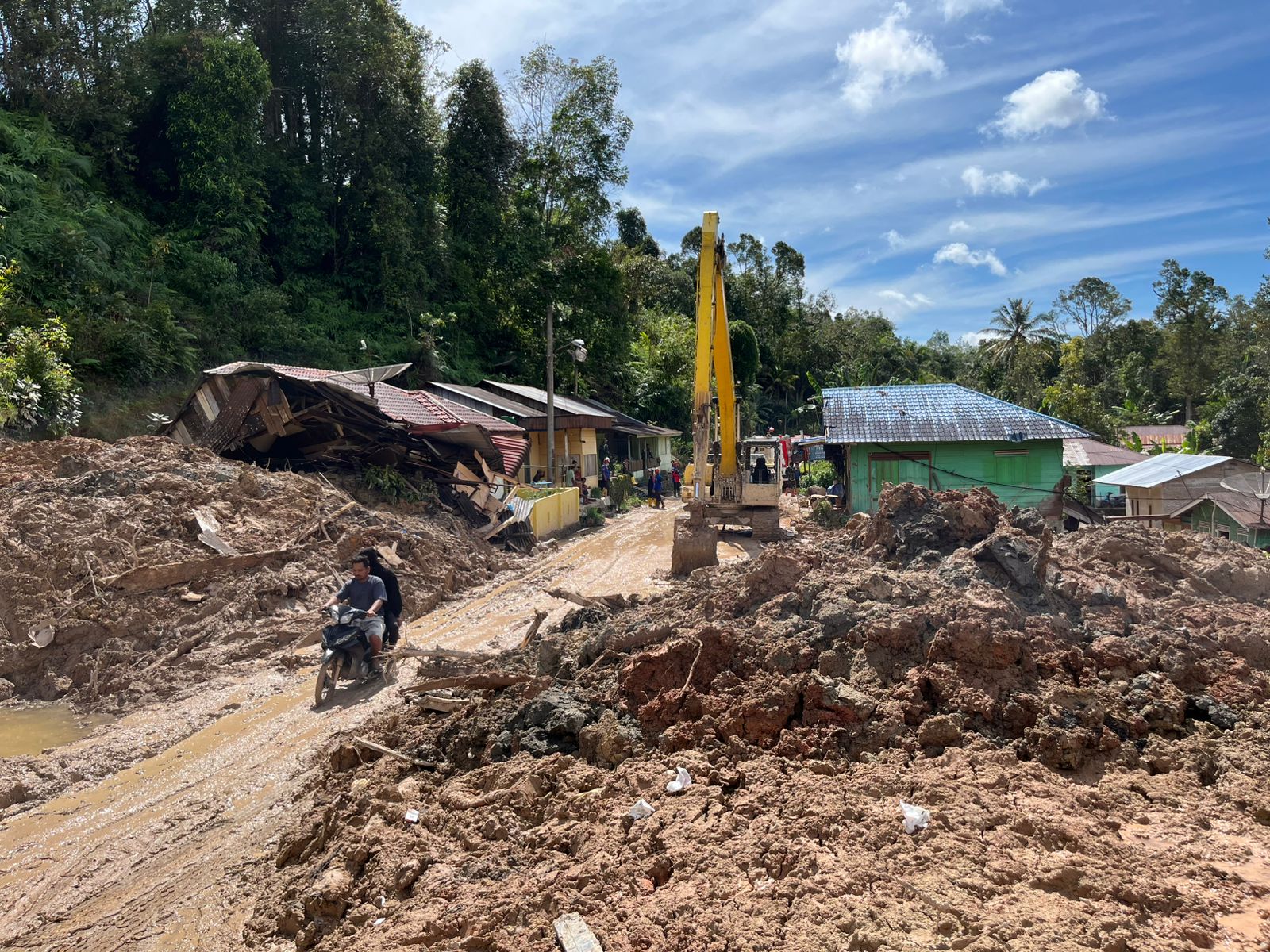 Netizen Ramai Usul Patungan Beli Hutan, Ini Prosedur Resmi Menurut Regulasi Indonesia