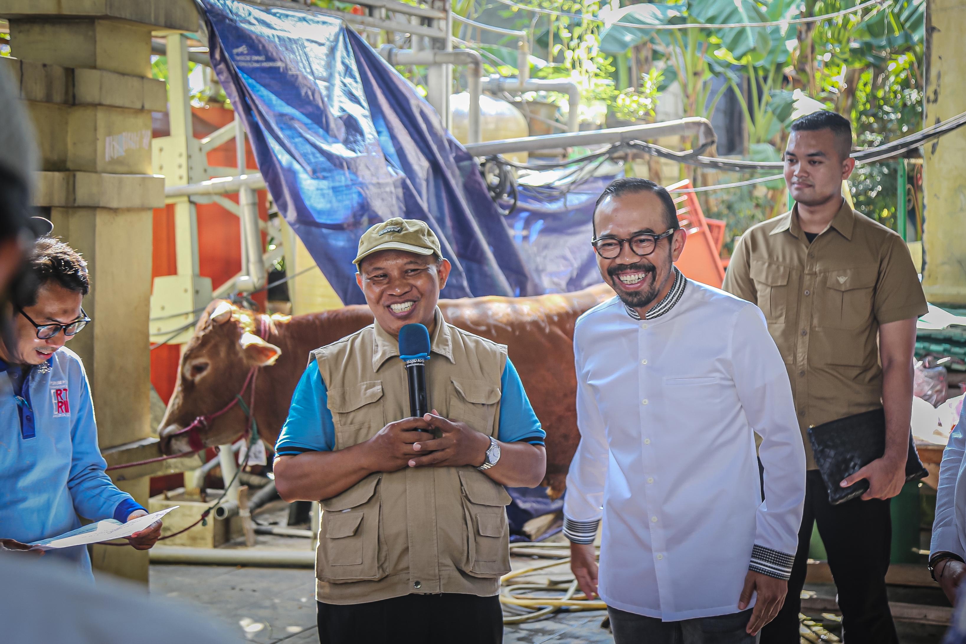 Pertamina Patra Niaga Salurkan 1.193 Hewan Qurban di Momen Idul Adha