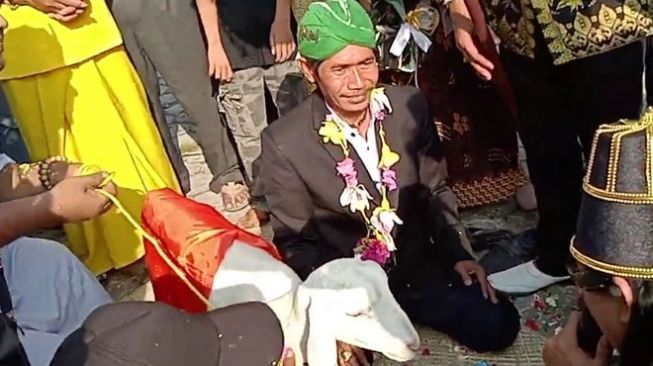 Ketua MUI Tidak Tenang Hadiri Ritual Pria di Gresik Nikahi Kambing Bernama Sri Rahayu