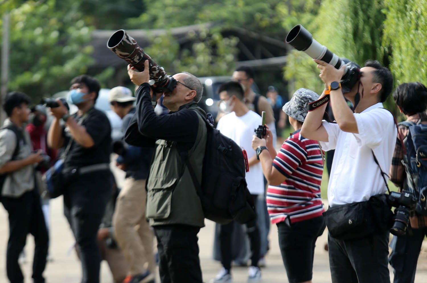 Kolaborasi dengan PFI, Yayasan KEHATI Gelar Pameran Foto Virtual, Catat Tanggalnya