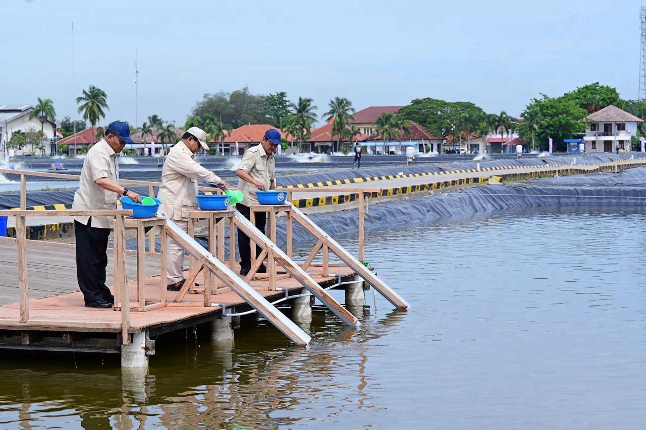 Presiden Prabowo Tinjau Tambak Ikan di Karawang, Dorong Sektor Perikanan Wujudkan Swasembada Pangan