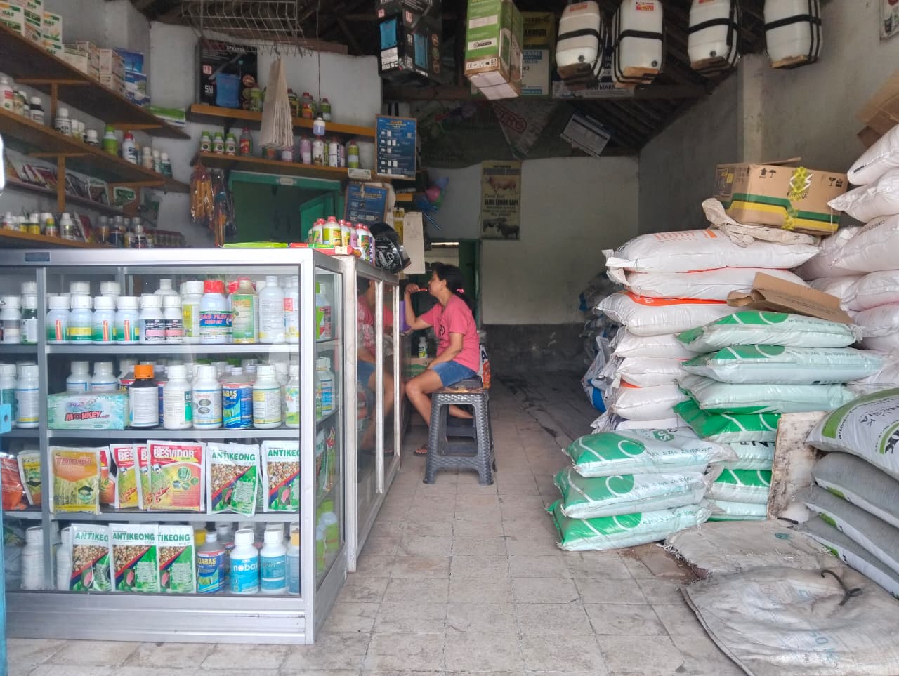 Stok Pupuk Aman, Penebusan Pupuk Bersubsidi di Lumajang Tinggi,