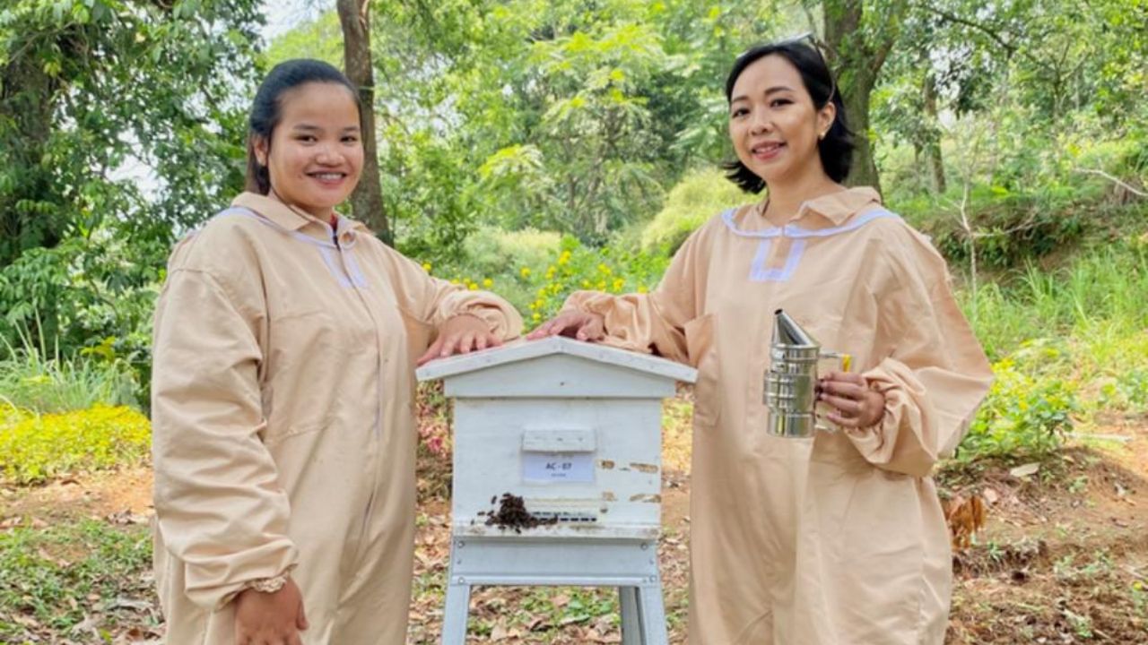 BRI Dukung UMKM Madu Lokal: BeeMa Honey Raih Kesuksesan di Pasar Global