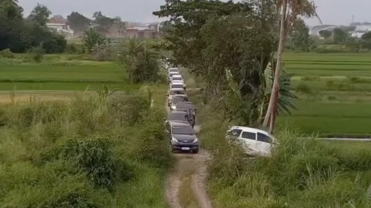 Apes! Gegara Google Maps Ratusan Mobil Pemudik Nyasar ke Sawah di Sleman 