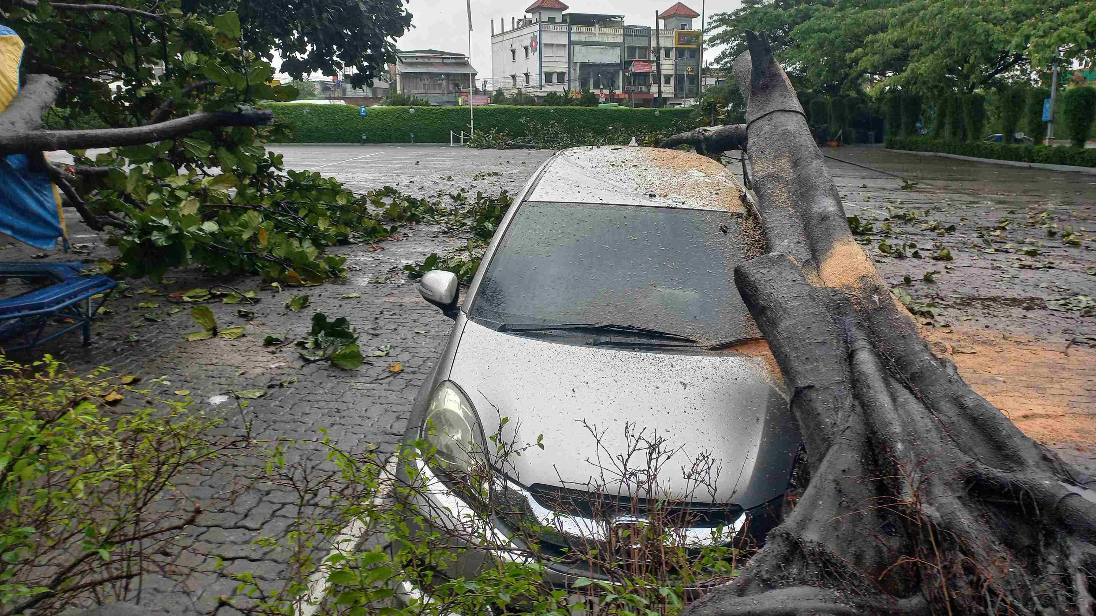 Mobil Honda Mobilio Tertimpa Pohon Tumbang di Tangerang, Segini Harga Pasarnya