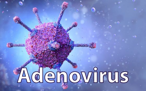 Epidemiolog UGM: Hepatitis Akut Misterius Tidak Terkait dengan Vaksin Covid-19