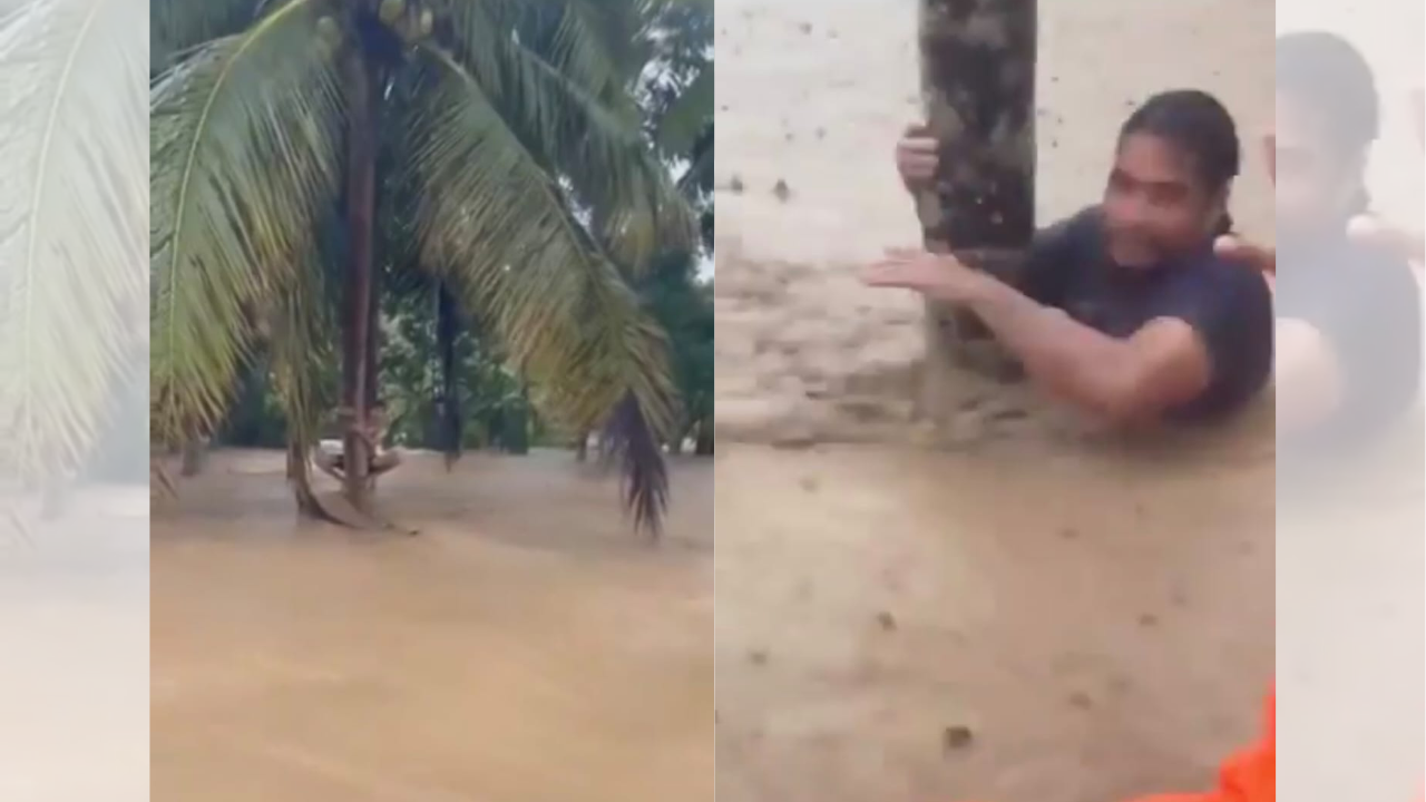 Momen Menegangkan Tim SAR Evakuasi Korban Banjir Bandang yang Bertahan di Pohon Kelapa