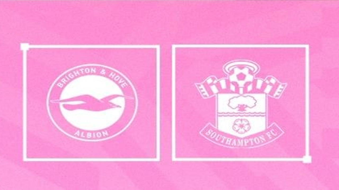 Link Live Streaming Laga Seru Brighton vs Southampton di Liga Inggris 2024/25