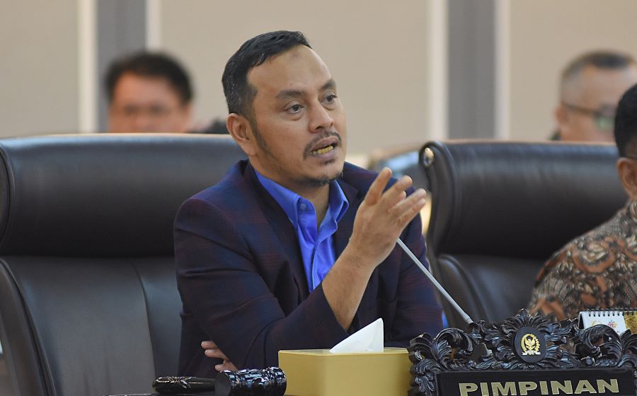 Willy Aditya: Bendera One Piece Bukan Ancaman, Tapi Ekspresi Anak Muda yang Harus Dipahami