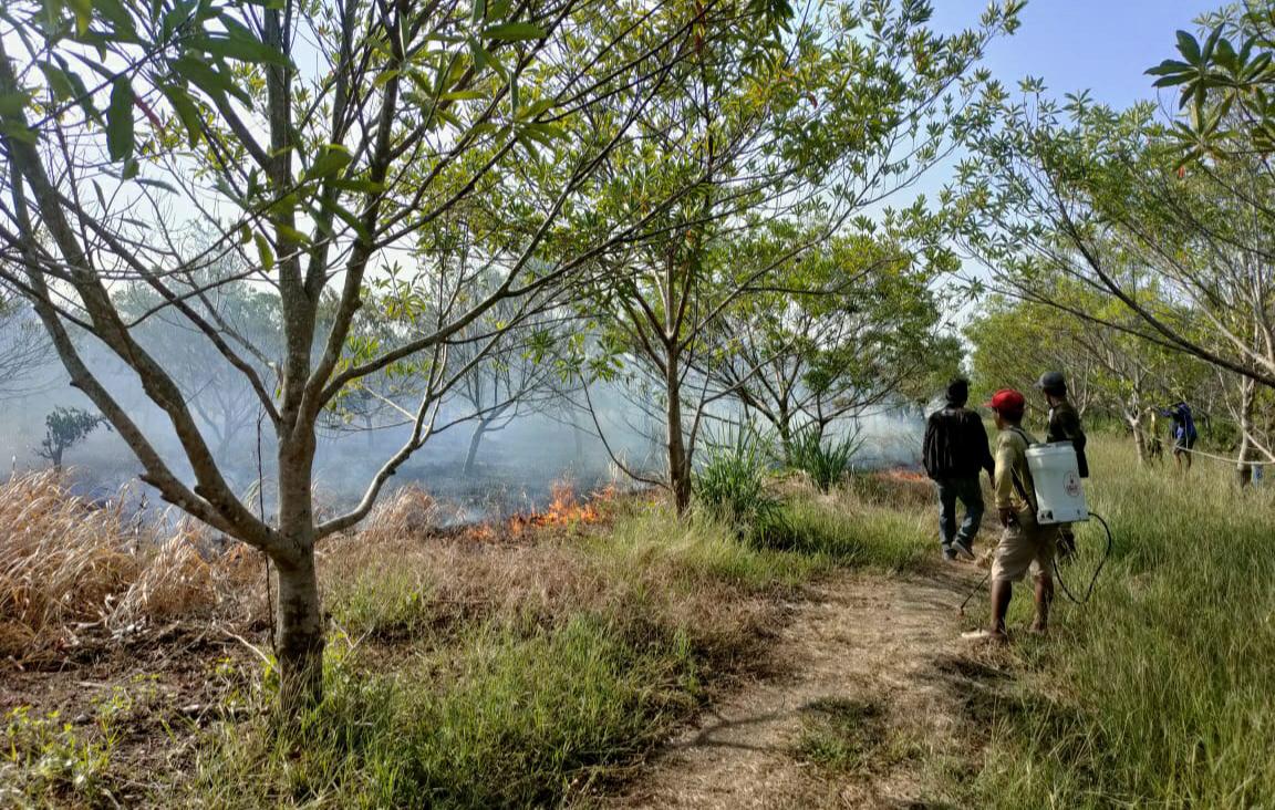 Karhutla di Cilacap, Satu Rumah Pabrik Gula Habis Terbakar