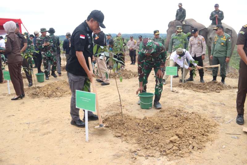 Satgas Tertibkan Kawasan Hutan Tesso Nilo Riau Seluas 81.793 Hektare