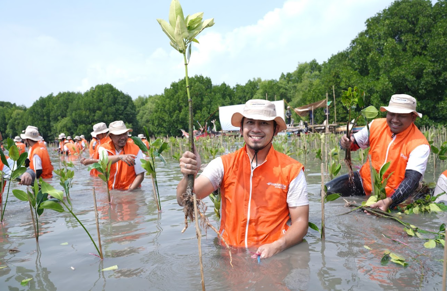 Tangani Banjir Rob, Restorasi Ekosistem Pesisir Muara Gembong dengan Pohon Mangrove 