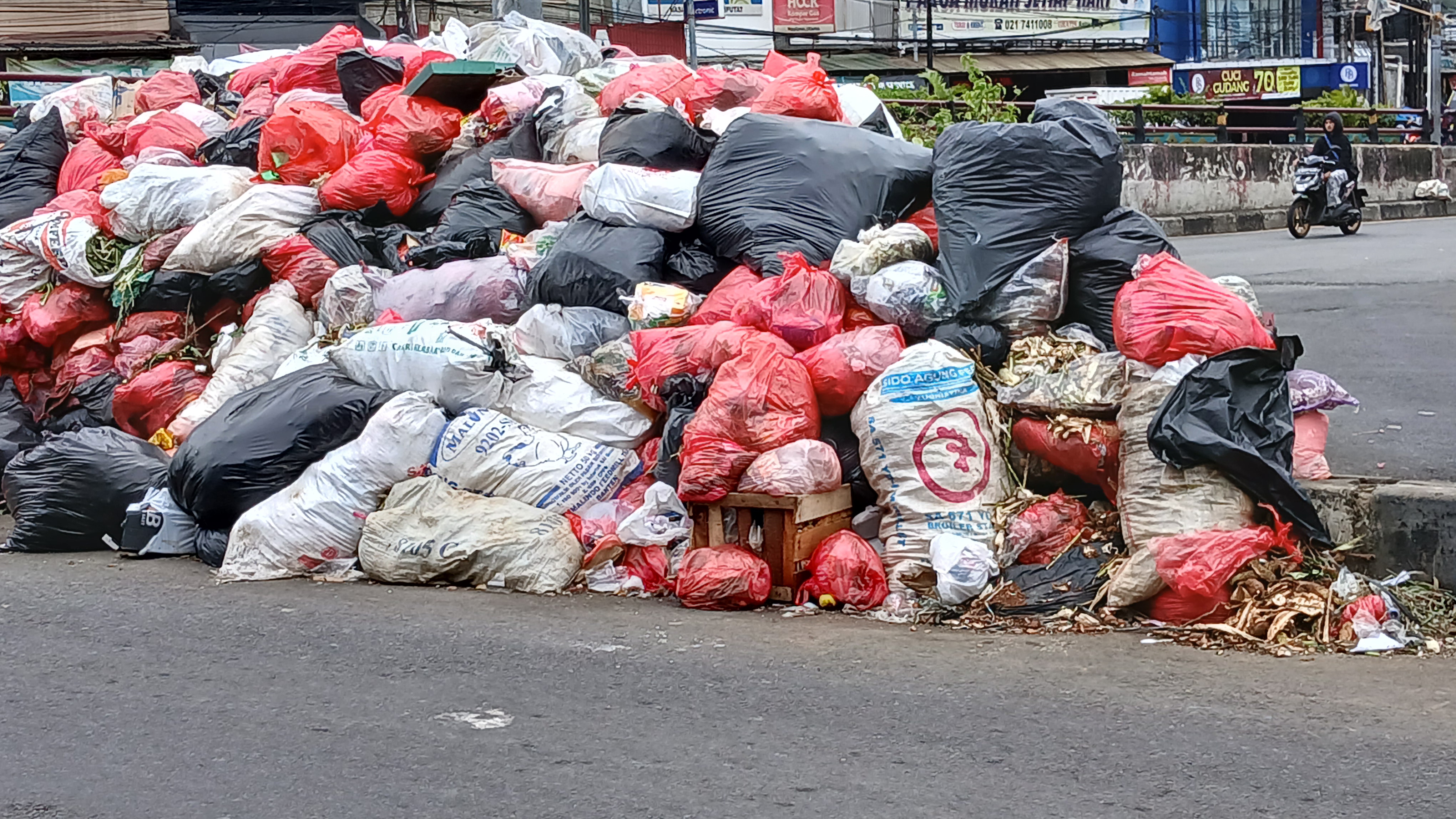 Tangsel Darurat Sampah: Kenyaman Warga Terganggu, Usaha Mandek, Apa Solusi Pemerintah?