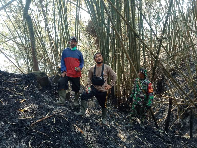 Tim Gabungan Padamkan Kebakaran Lahan di Gunung Anjasmoro