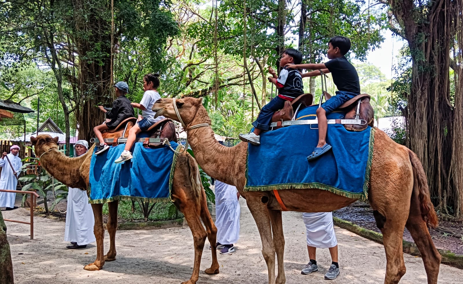 KBS Buka Parade Satwa di H+1 Lebaran, Magnet Wisatawan Lokal dan Keluarga