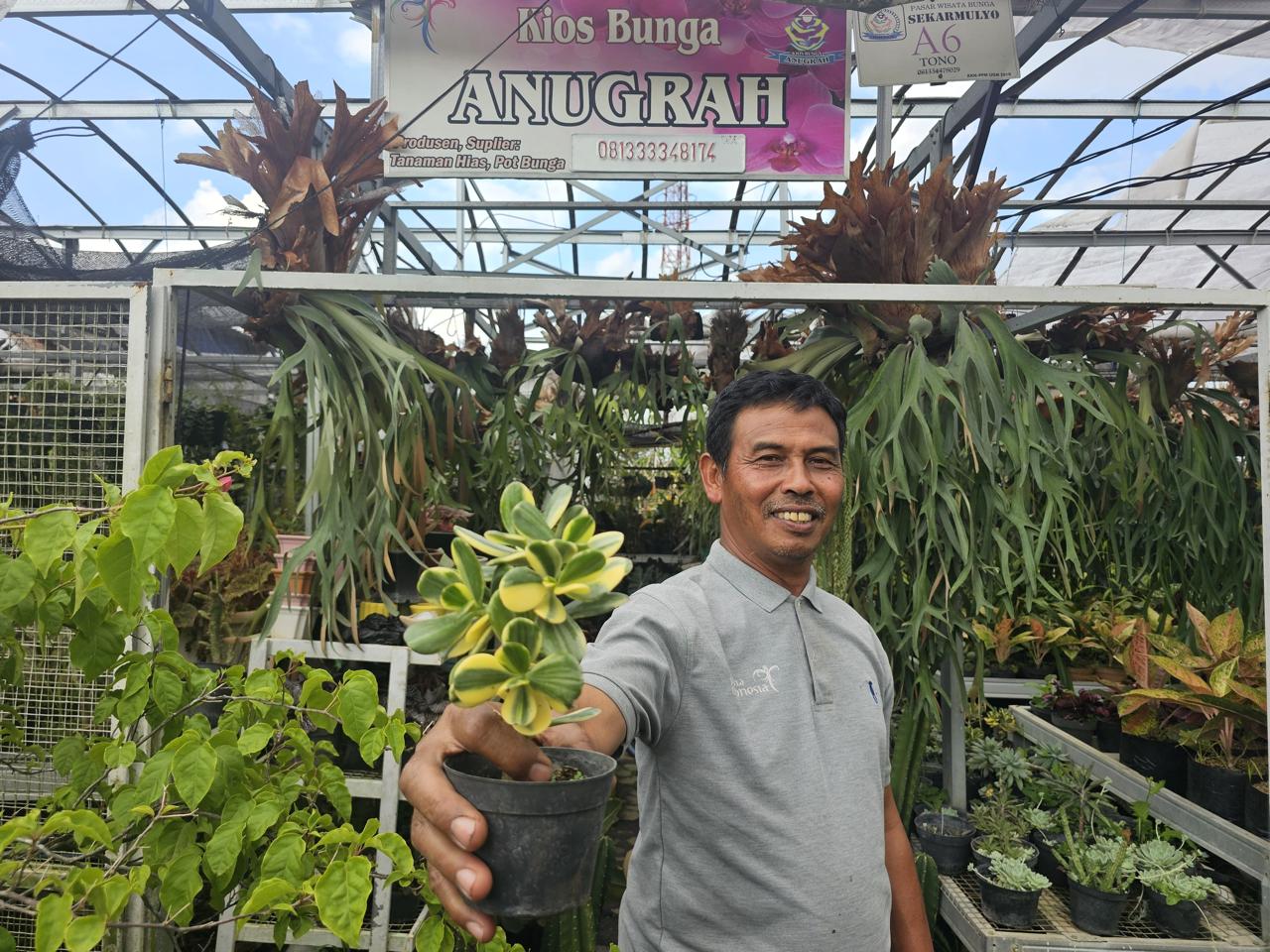 Dari Hobi Jadi Rezeki, Ini Kisah Sukses Klaster Tanaman Hias Binaan BRI